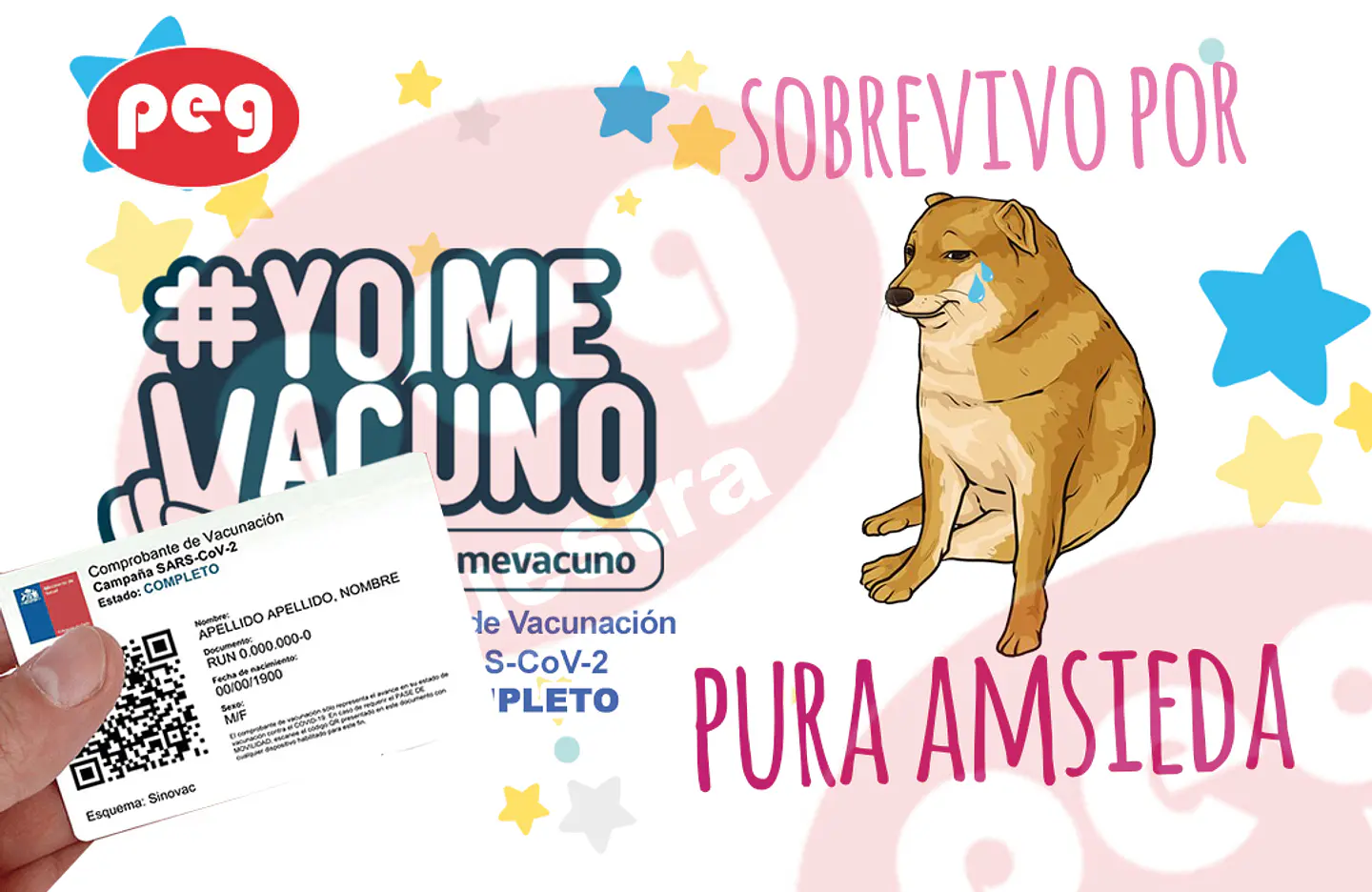 PASE ME MOVILIDAD CON DISEÑO 5