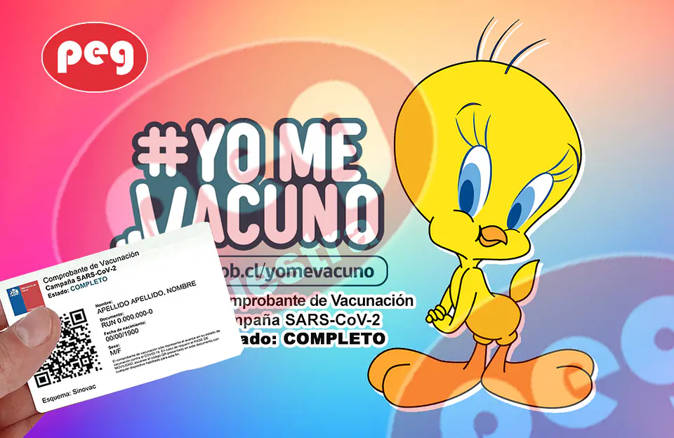 PASE ME MOVILIDAD CON DISEÑO 9