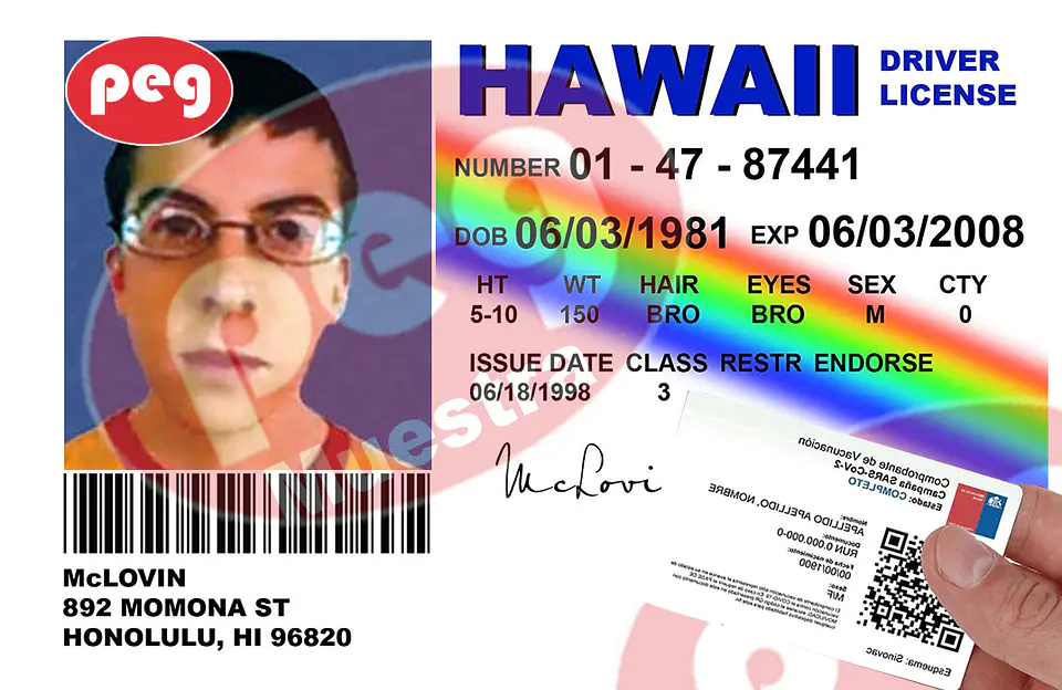 PASE ME MOVILIDAD CON DISEÑO 11