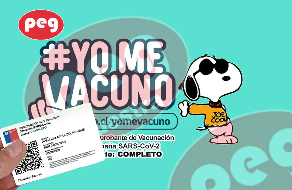 PASE ME MOVILIDAD CON DISEÑO 13