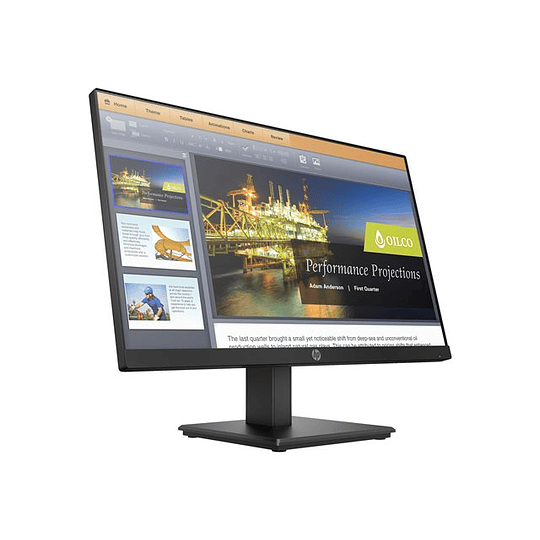 HP  Monitor P224 22
