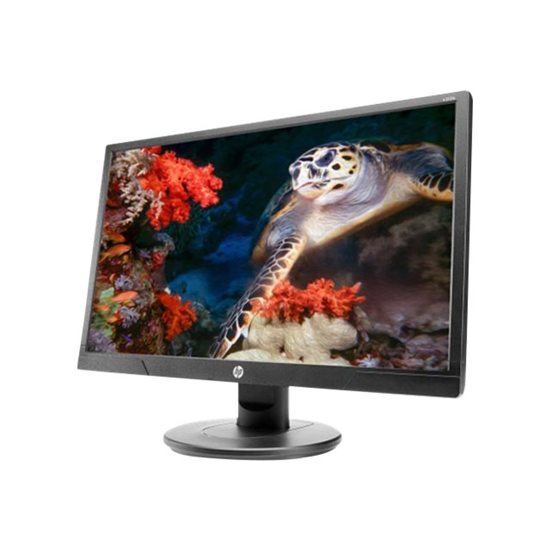 Monitor HP V214a de 20.7“