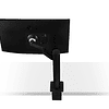 LG Monitor 27QN880-B QHD Ergo IPS 27'' USB Tipo-C™, DisplayPort, 2x HDMI