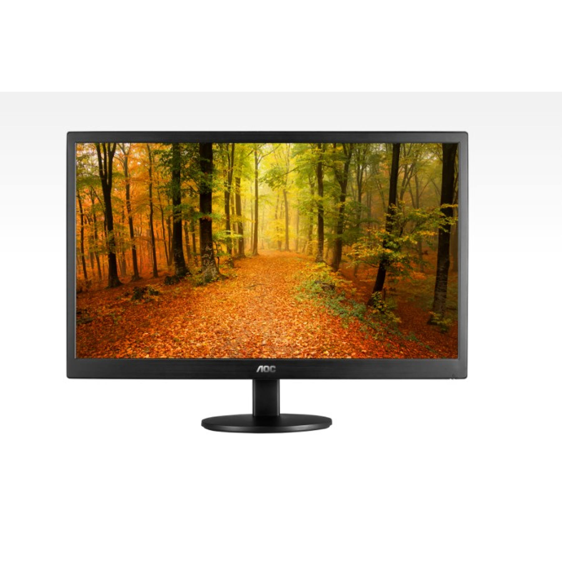 AOC Monitor de 20