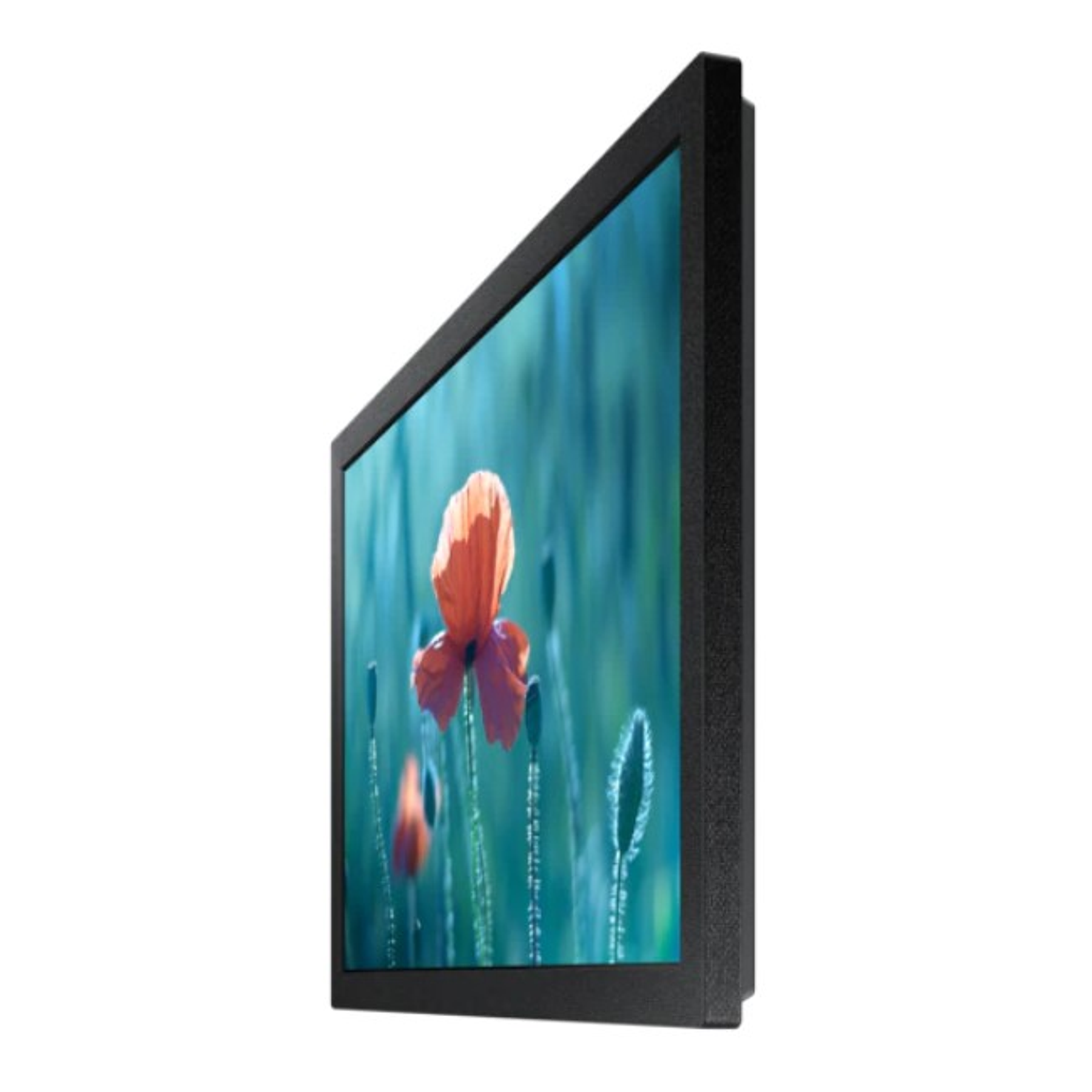 Samsung Pantalla Profesional Serie QBR de 13