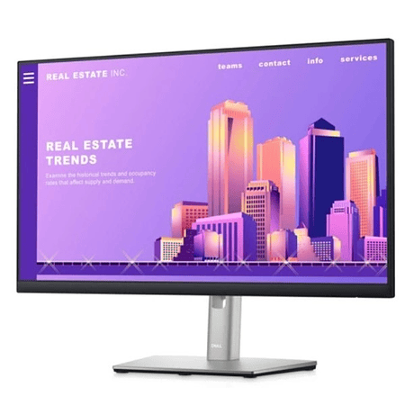 Dell P2422H Monitor de 24 Pulgadas