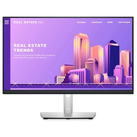 Dell P2422H Monitor de 24 Pulgadas