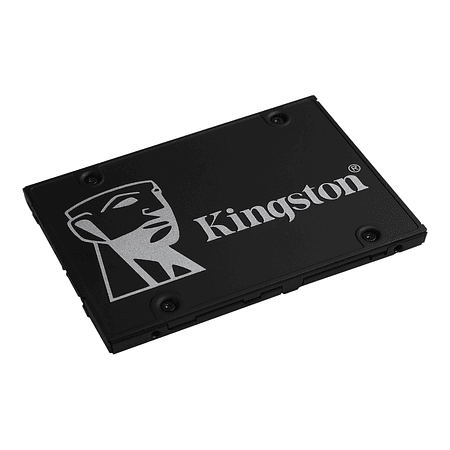 Kingston SSD Interno Encriptado 512GB 