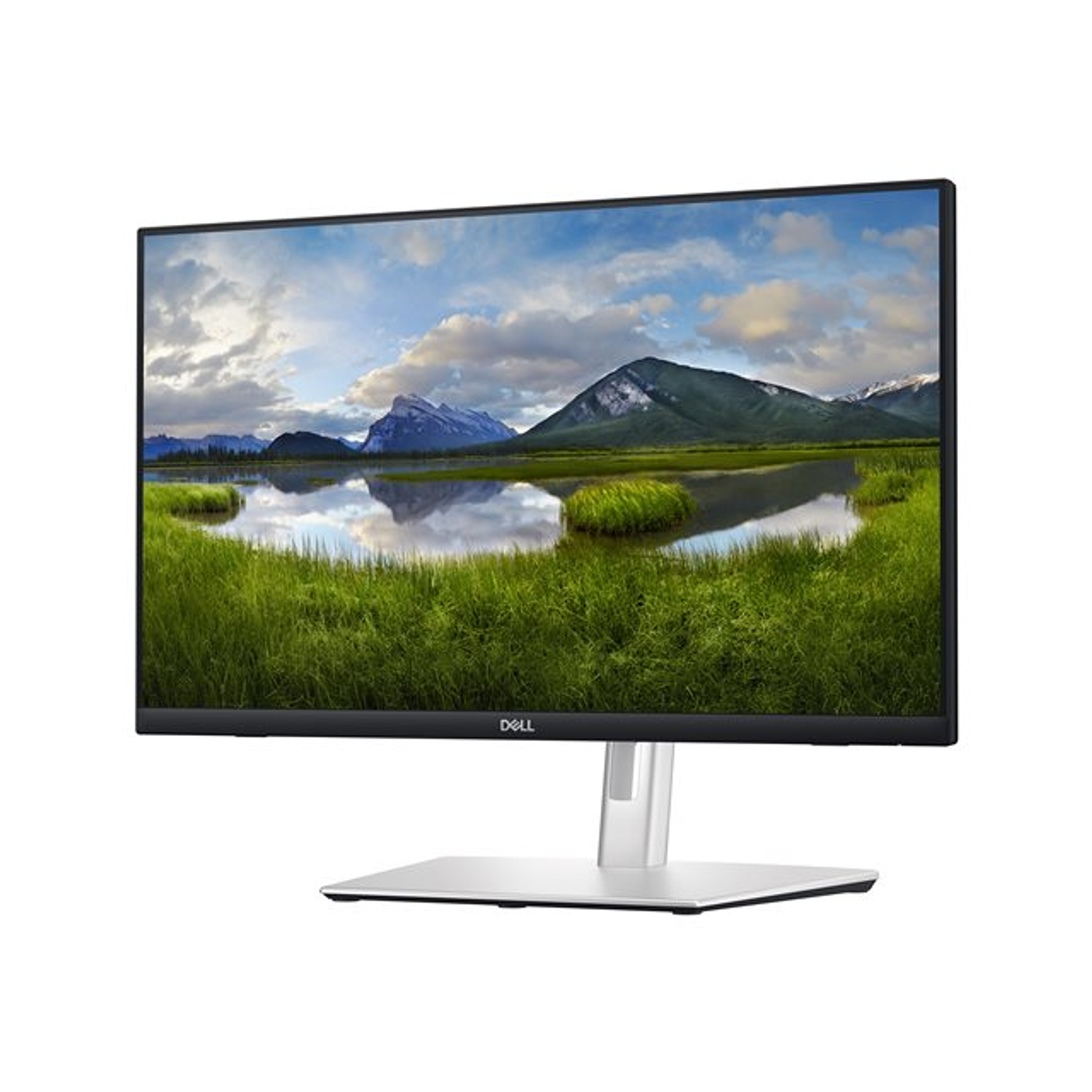 Dell P2424HT, Monitor 23.8
