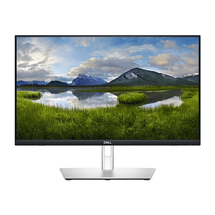 Dell Monitor P2424HT de 23.8