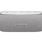 Harman Kardon Luna Parlante Color Gris - Miniatura 1