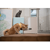 Xiaomi Dispensador Inteligente de Alimentos para Mascotas