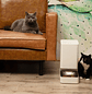 Xiaomi Dispensador Inteligente de Alimentos para Mascotas - thumbnail 7