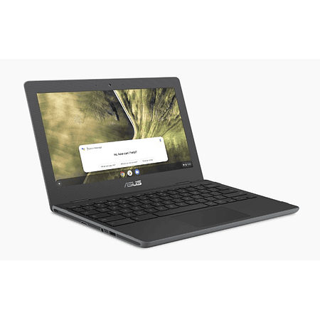 ASUS Chromebook C204 [Producto a Pedido]
