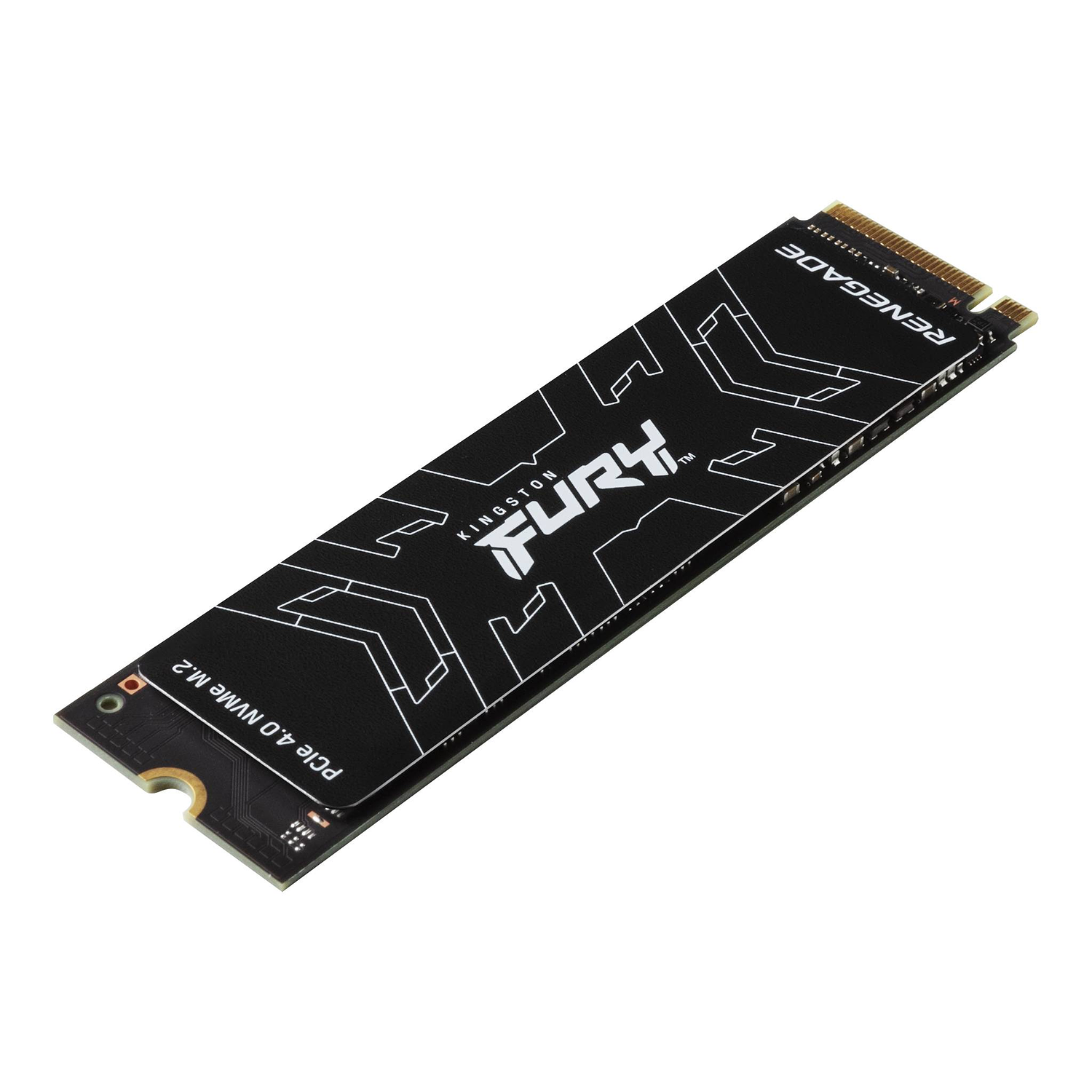 Kingston FURY Renegade Disco Interno SSD 500 GB M.2 2280 PCIe 4.0 NVMe 2