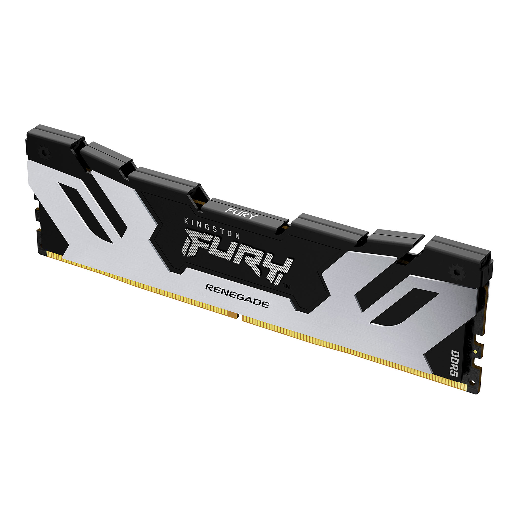 Kingston Fury Renegade KF564C32RS-24 Memoria Ram 24 GB DIMM DDR5 6400 MT/s