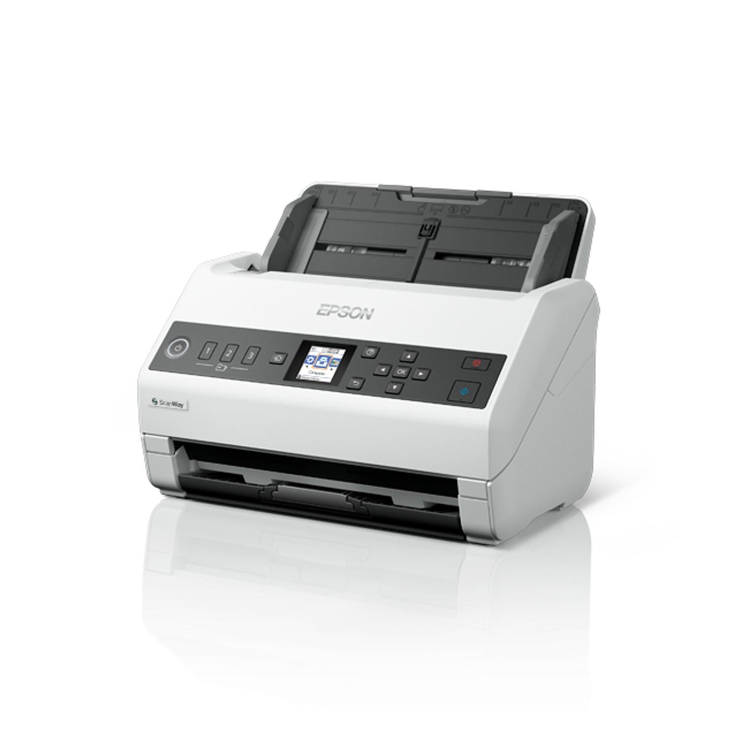 Epson DS-730N Escáner Color Duplex ADF USB Ethernet 7