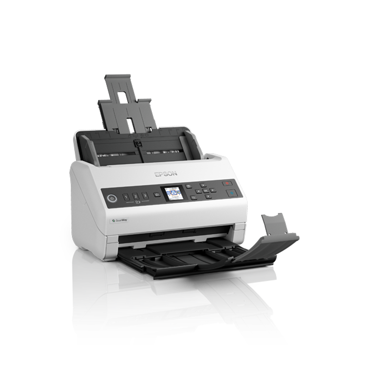 Epson DS-730N Escáner Color Duplex ADF USB Ethernet 5