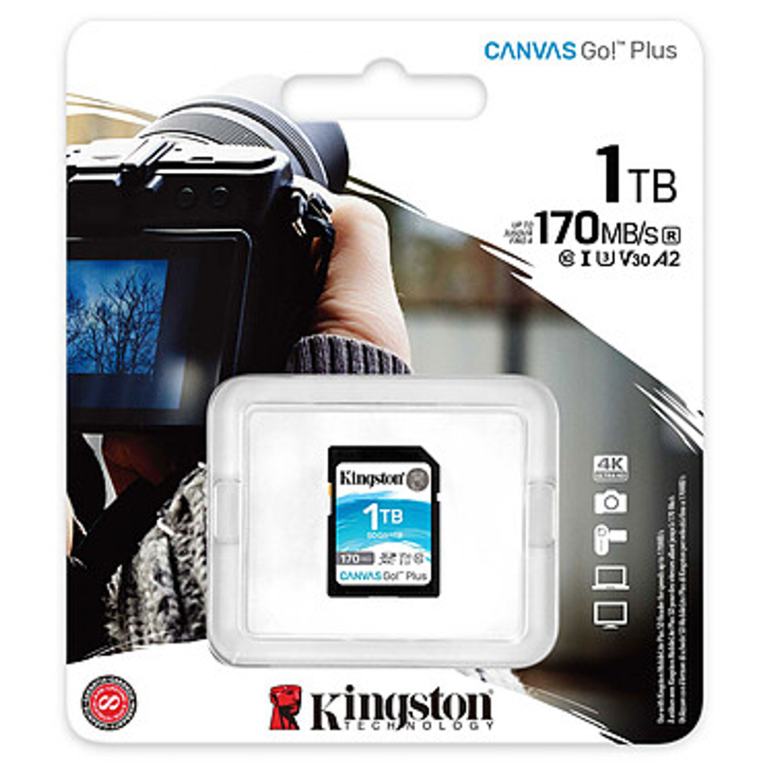 Kingston SD Plus Canvas Go Tarjeta De Memoria SDG3/1TB 3