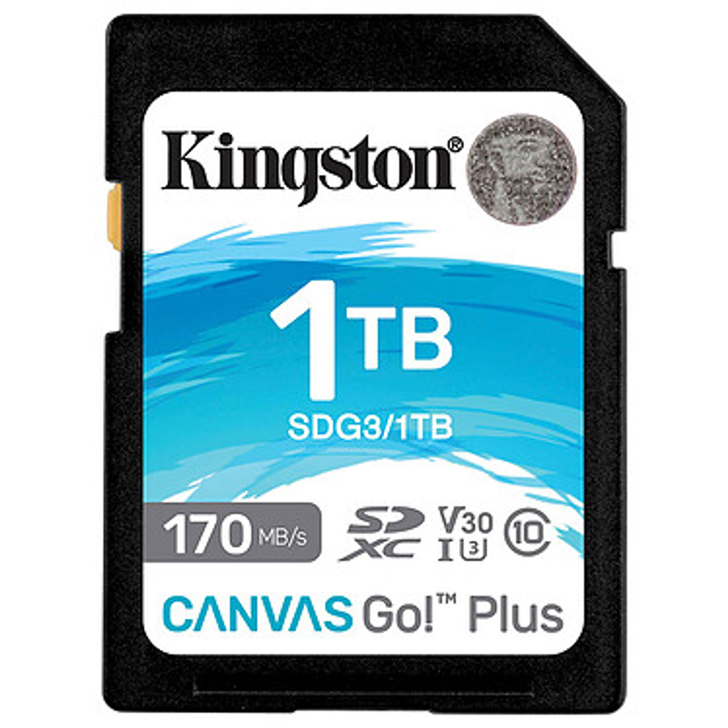 Kingston SD Plus Canvas Go Tarjeta De Memoria SDG3/1TB 1