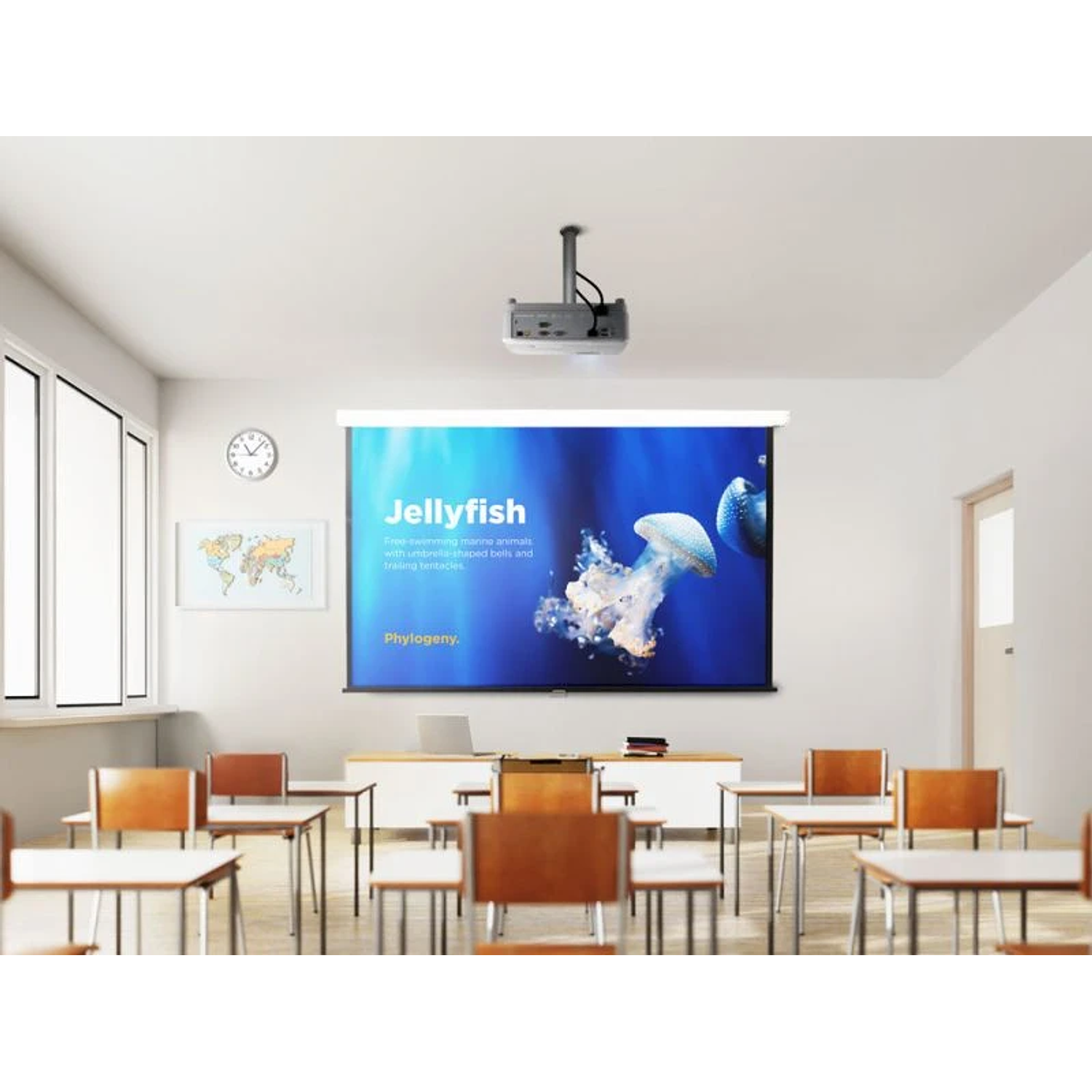 ViewSonic PA504W Proyector Profesional 4.000 Lúmenes 18