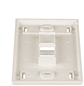 Panduit NK2FIWY Placa Frontal NetKey™, Bolsillo p/Etiqueta, 2 Puertos, Blanco  - Miniatura 2