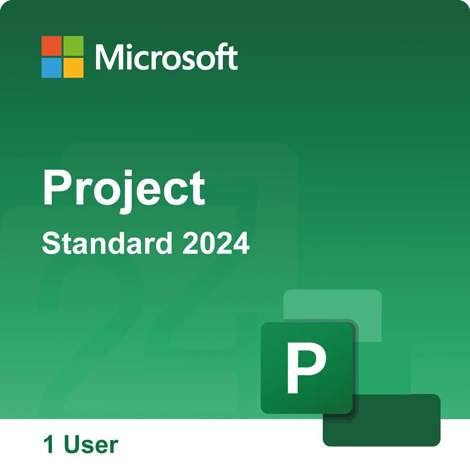 Microsoft Project 2024 Standard MacOS Windows