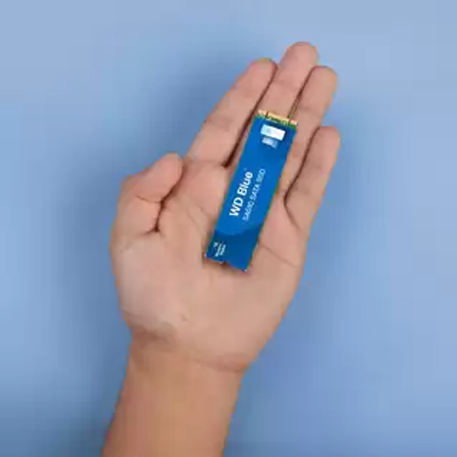 Western Digital Blue SA510, Disco SSD 250GB, SATA M.2 SSD, 3D NAND, Lectura Hasta 545MB/s, Escritura Hasta 425MB/s 5