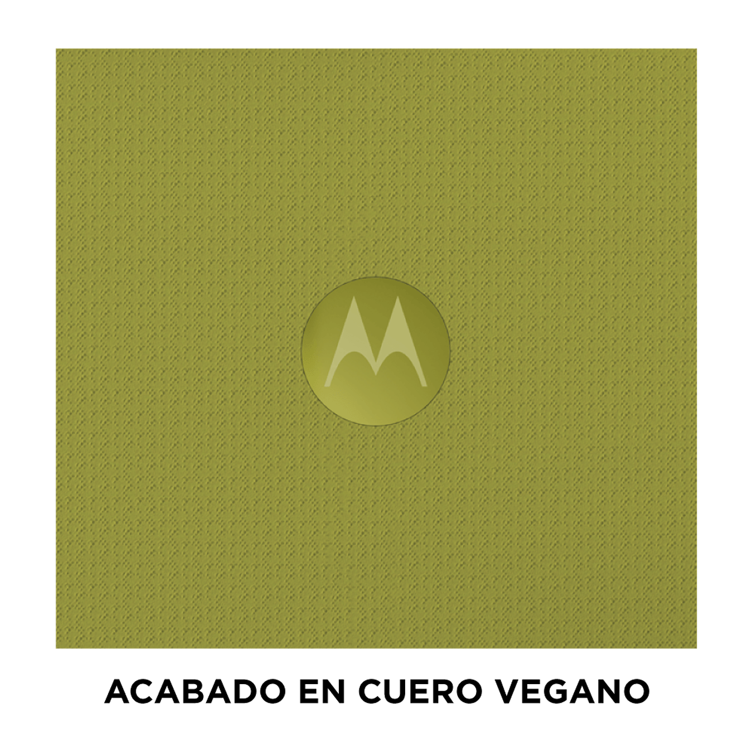 Motorola Moto G86 Smartphone 8GB RAM + 256GB, Batería 6720 mAh, Cámara 50 MP, Pantalla pOLED 120Hz, Verde 6