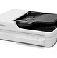 Epson DS-1730 Escáner de Documentos Cama Plana, Dúplex, ADF, 50 Hojas, 30 ppm, Resolución 1200 dpi. Carta, Oficio, USB - Miniatura 2