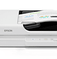 Epson DS-1730 Escáner de Documentos Cama Plana, Dúplex, ADF, 50 Hojas, 30 ppm, Resolución 1200 dpi. Carta, Oficio, USB - Miniatura 3