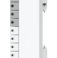 Ubiquiti UA-HUB-GATE Controlador de Portón DIN-Rail, PoE++, Ethernet Gigabit, Múltiples Relés, Control de Acceso, Seguridad Residencial y Comercial - Miniatura 3