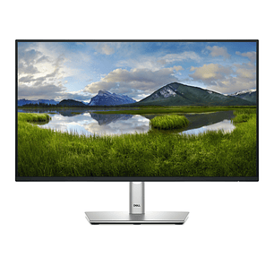 Dell P2425H, Monitor 23.8