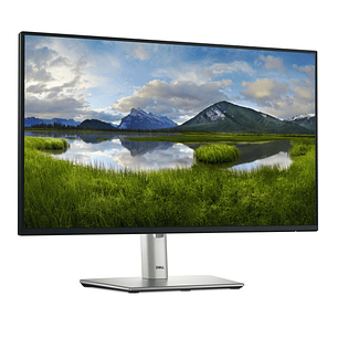 Dell P2425H, Monitor 23.8