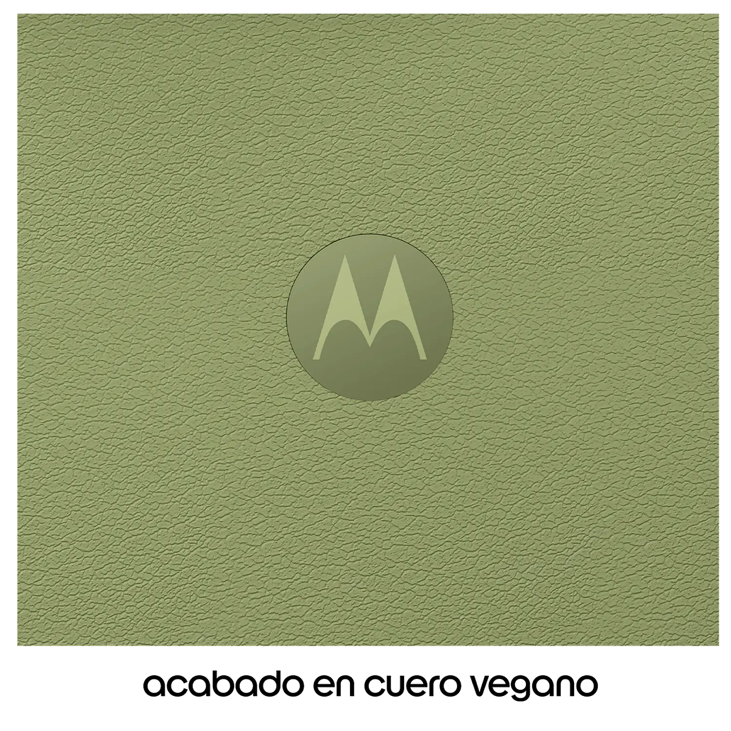 Motorola Moto G67 4GB RAM + 256GB Smartphone 5G, Pantalla AMOLED 120Hz 6.8”, Cámara 50MP, Android 16, NFC, IP64, TurboPower 33W, Lima 5