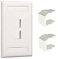 Panduit NetKey KT035XCL85 Kit Faceplate 2 Puertos Keystone con Tapas Ciegas Blanco - thumbnail 1