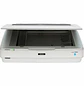 Epson Expression 13000XL Escaner Plano A3, 12.2x17.2, 2400x4800 dpi, USB, Blanco - Miniatura 5