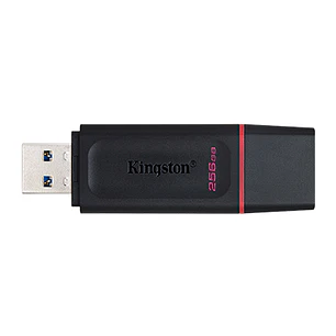 Kingston DataTraveler Exodia, Pendrive 256GB USB-A, USB 3.2 Gen 1, Negro con Anillo Rosa