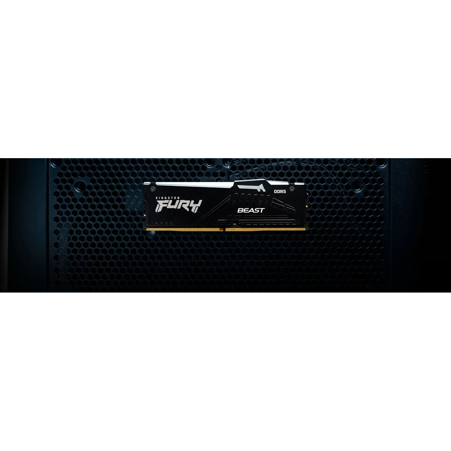 Kingston FURY Beast RGB, Memoria RAM 32GB DDR5 6000MT/s, CL30, EXPO/XMP 3.0, UDIMM para PC 7