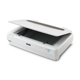 Epson Expression 13000XL, Escáner Plano A3+ 2400×4800 dpi, USB