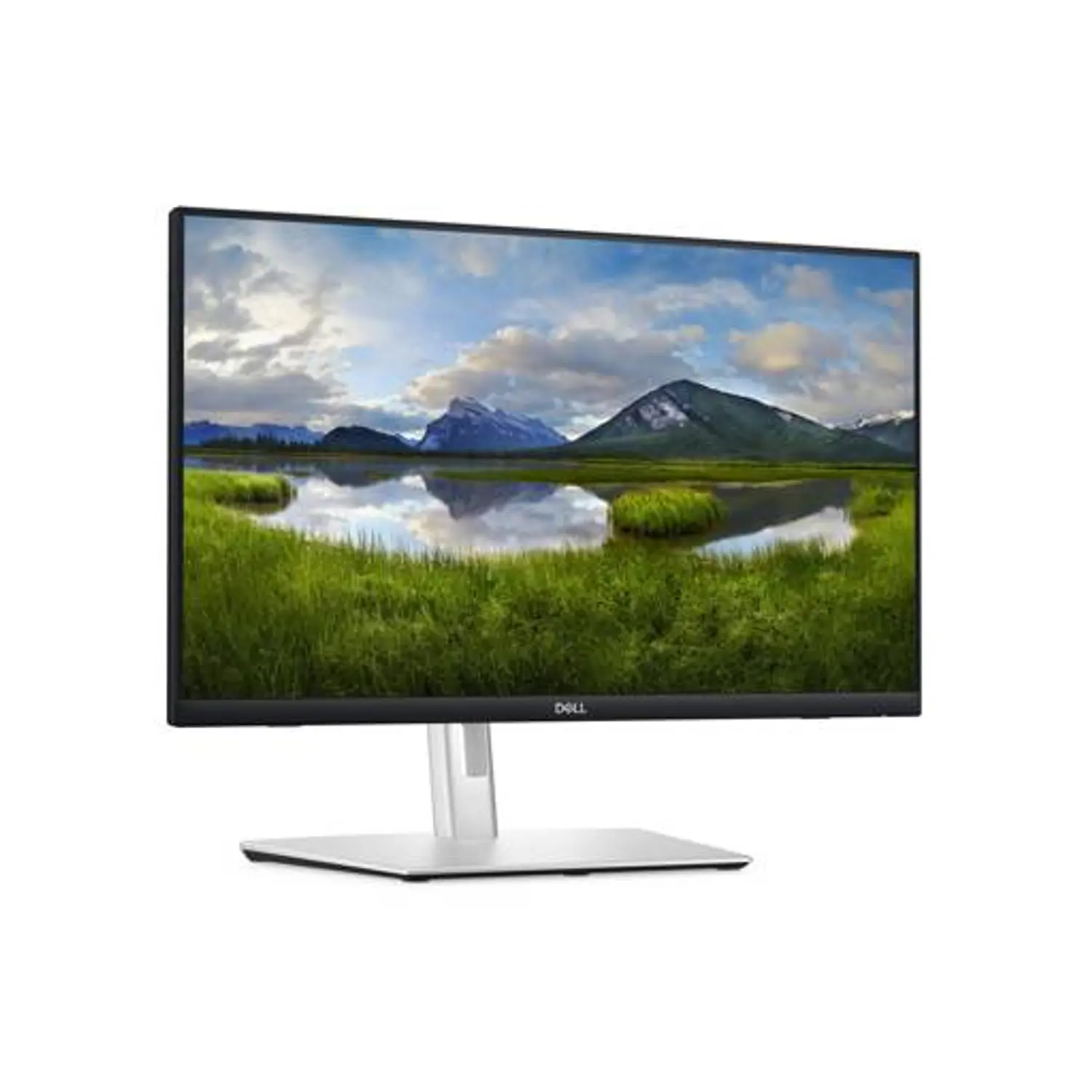 Dell P2424HT, Monitor Touch 23.8