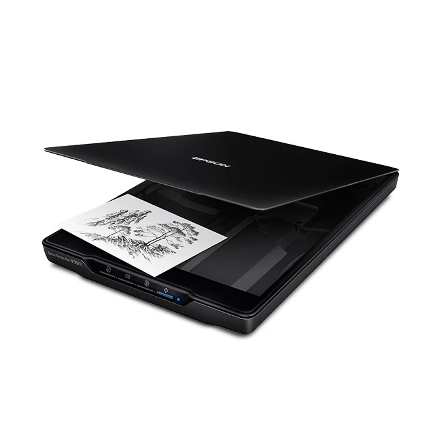 Epson Perfection V39 II B11B268201, Escáner Plano A4, 4800x4800 DPI, 10 s, USB, OCR, Negro 2