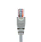 Nexxt Solutions AB360NXT01, Cable de Red Cat5e UTP, RJ45, 0.9 m, 24AWG, CM, Gris - Miniatura 2