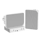 Hikvision DS-QAE1KA80120-2, Kit Audio Híbrido, Amplificador de Red 80W, 2 Parlantes 20W, 2 Zonas - Miniatura 1