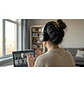 Kensington H950 EQ K97468WW Audífonos On-Ear USB-C/USB-A con Micrófono ENC, Negro - Miniatura 13