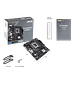 ASUS PRIME H610M-K + Intel Core i5-14400, Kit Placa Madre DDR5 LGA1700, 10 Núcleos, Hasta 4.7GHz - Miniatura 8