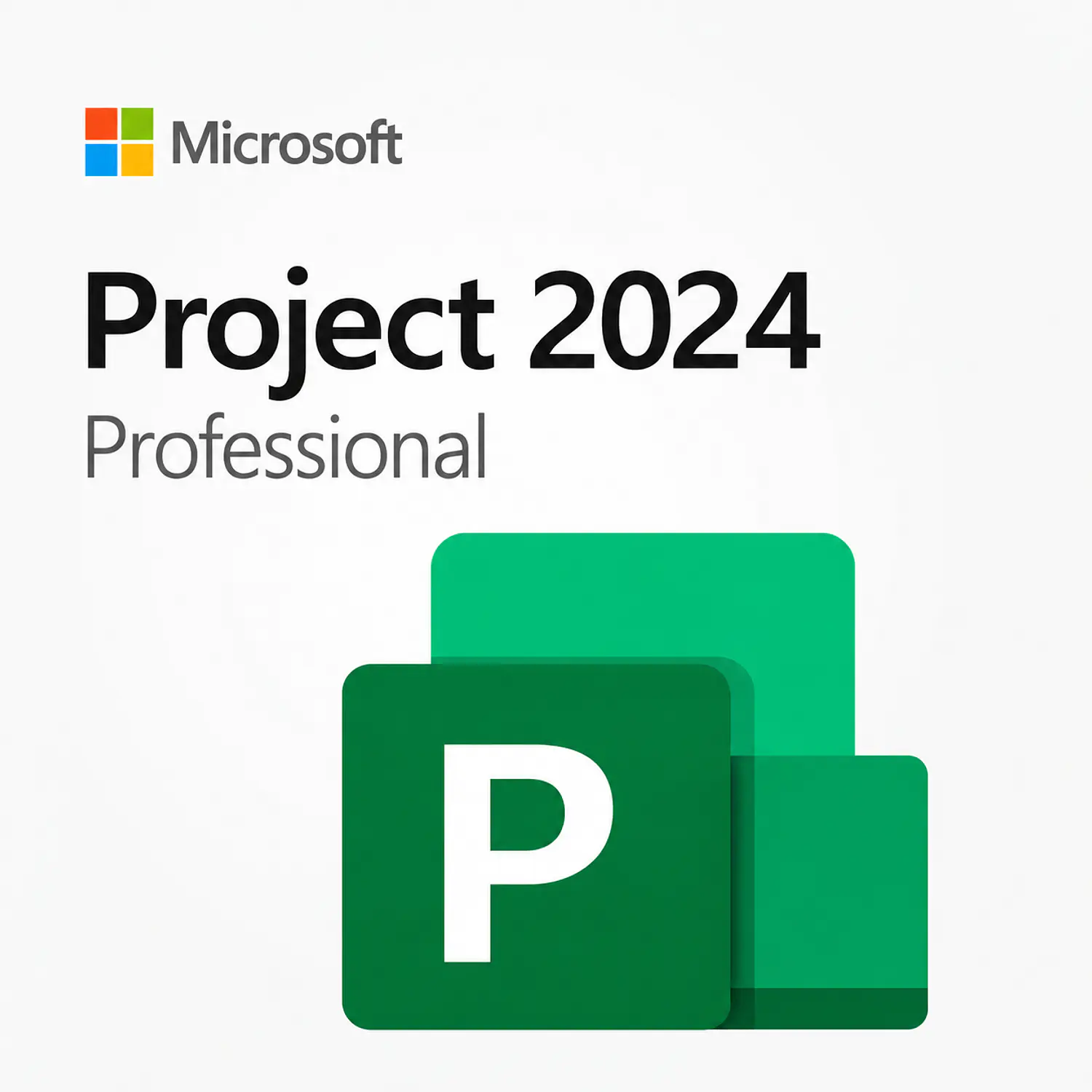 Microsoft Project Professional 2024, Licencia Perpetua Digital, 1 PC, Windows, All Languages