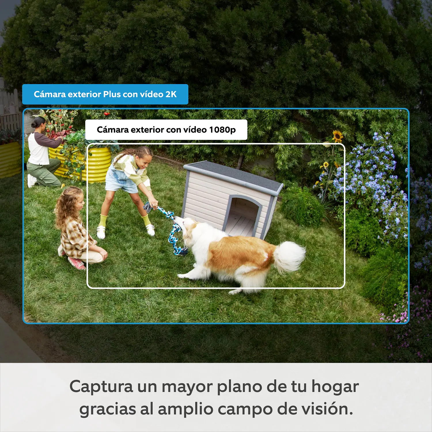 Ring Outdoor Cam Plus, Cámara de Seguridad WiFi 2K, Batería Quick Release, Wi-Fi 6, Sirena, Negro 3