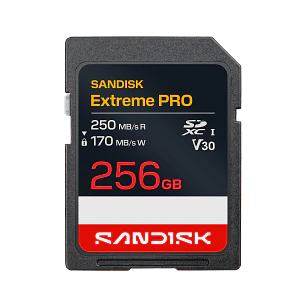 SanDisk Extreme PRO SDSDXXJ-256G-GSCIN, Tarjeta de Memoria SDXC 256GB, UHS-I, Lectura 250MB/s, Escritura 170MB/s, U3, V30, 4K UHD