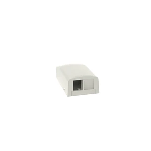 Panduit NetKey, Caja de Montaje en Superficie para 2 Puertos Keystone, Perfil Bajo, ABS, Blanco Hueso